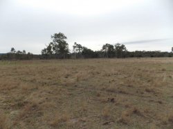 21 Acres With Bore And
 Creek Frontage
