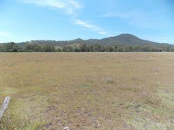 150 Acres - Cultivation & Grazing